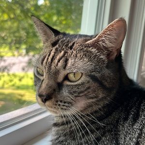 Meet your Posher, Justin